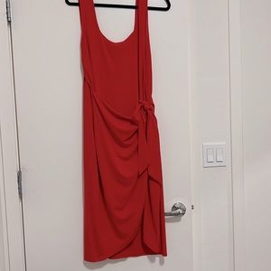 Express Res Dress